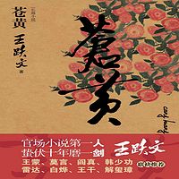 苍黄丨王跃文官场小说