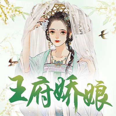 王府娇娘（全本）