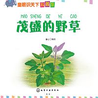 童眼识天下科普馆——茂盛的野草