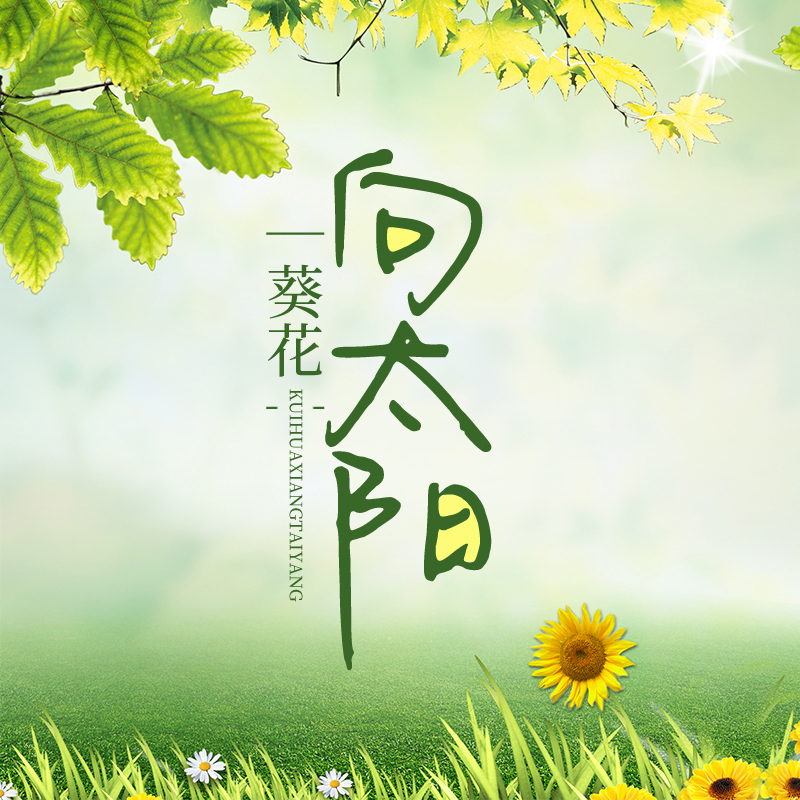 葵花向太阳（下）