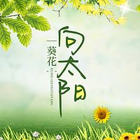 葵花向太阳（上）