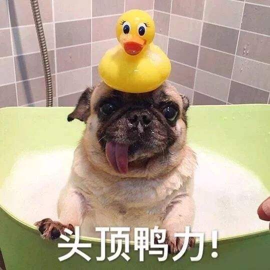 清澈如初