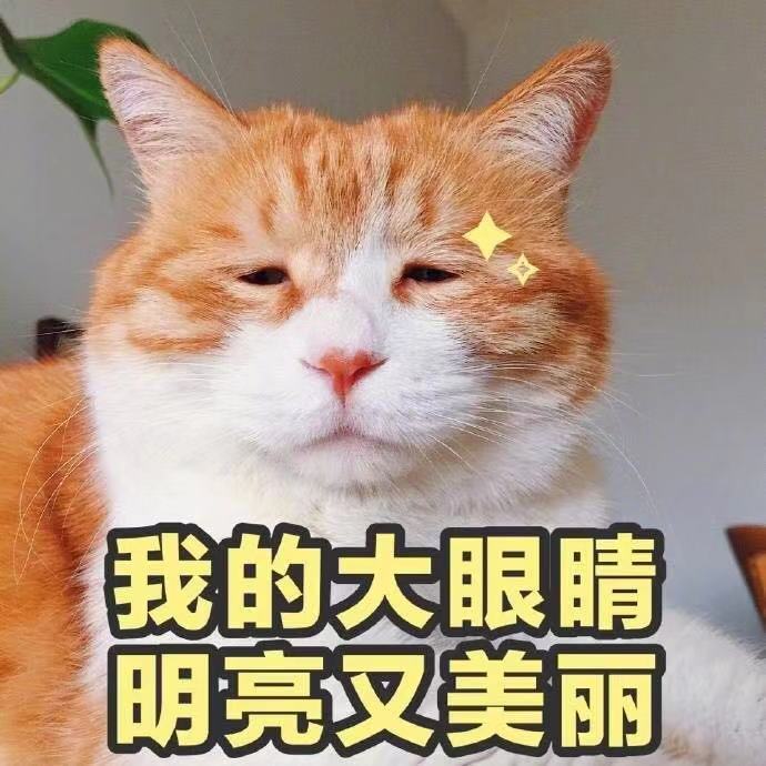 你瞅啥