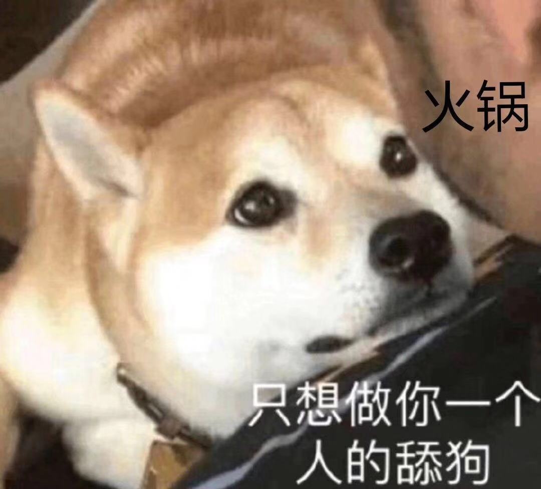 johohoghajgjhg