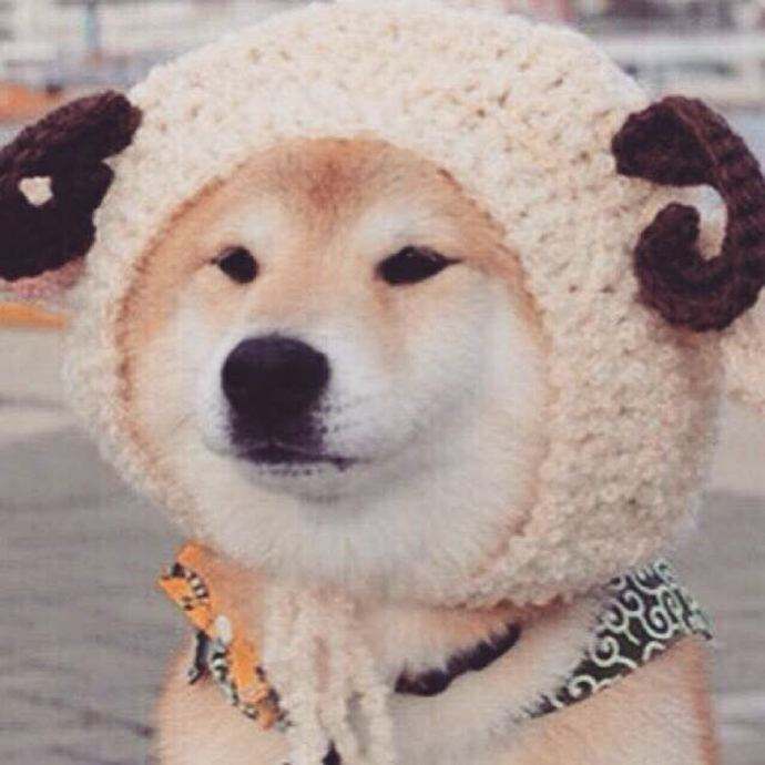 咕噜噜