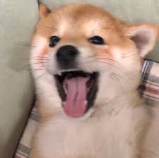 xxxxm