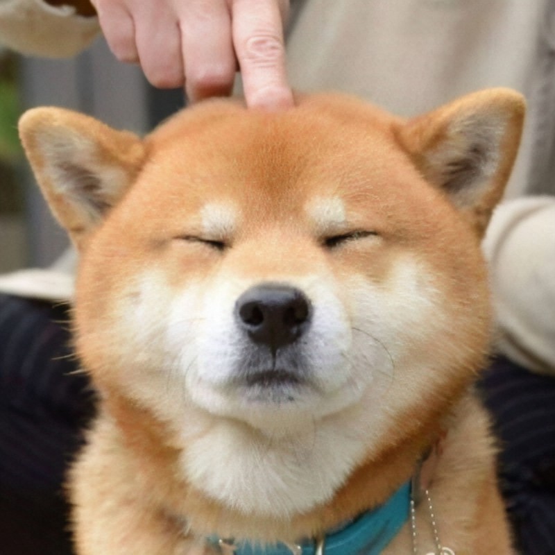 不知火老公