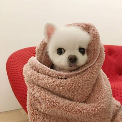 做个人吧