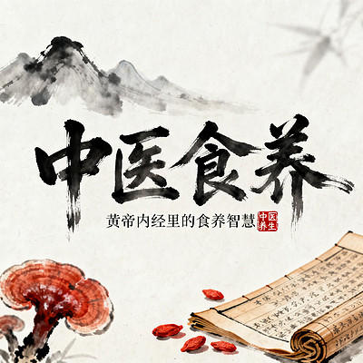 中医食养大全