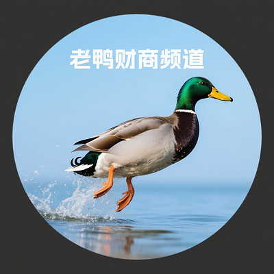 老鸭财商频道