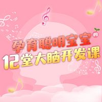 孕育聪明宝宝的12堂大脑开发课