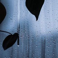 晚夜细雨 · 万物声精选白噪音专辑