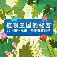 植物王国的秘密【精灵袋鼠妈妈】