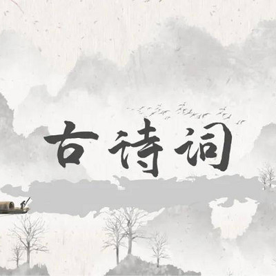 每日一句诗