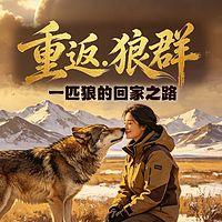 重返狼群解读：一场重塑自我的生命传奇！