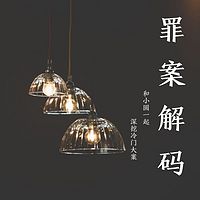 罪案解码