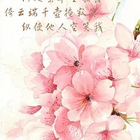 两性情感