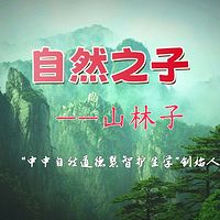 自然之子--中中自然道德慧智护生山林子