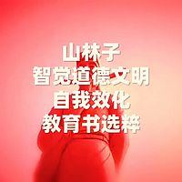 《山林子智觉道德文明自我效化教育书》鹤清