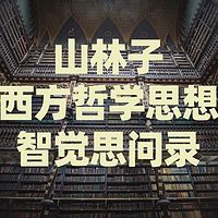 《山林子西方哲学思想智觉思问录》鹤清