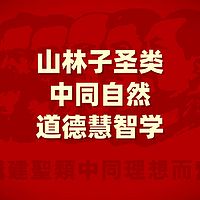 《山林子圣类中同自然道德慧智学》鹤清智慧