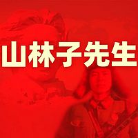 《山林子先生简介》鹤清智慧教育工作室