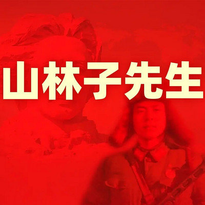 《山林子先生简介》鹤清智慧教育工作室