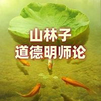 《山林子道德慧智明师论》鹤清智慧教育