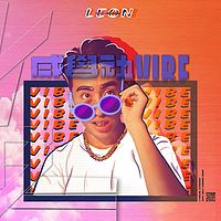 高隆华LEON:感觉袂VIBE