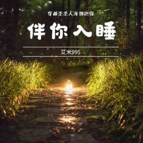 《伴你入睡》‖夜归不再孤独