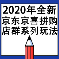 2020年京东拼购京喜店群系列课