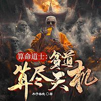 算命道士：贫道算尽天机（风水悬疑盗墓）