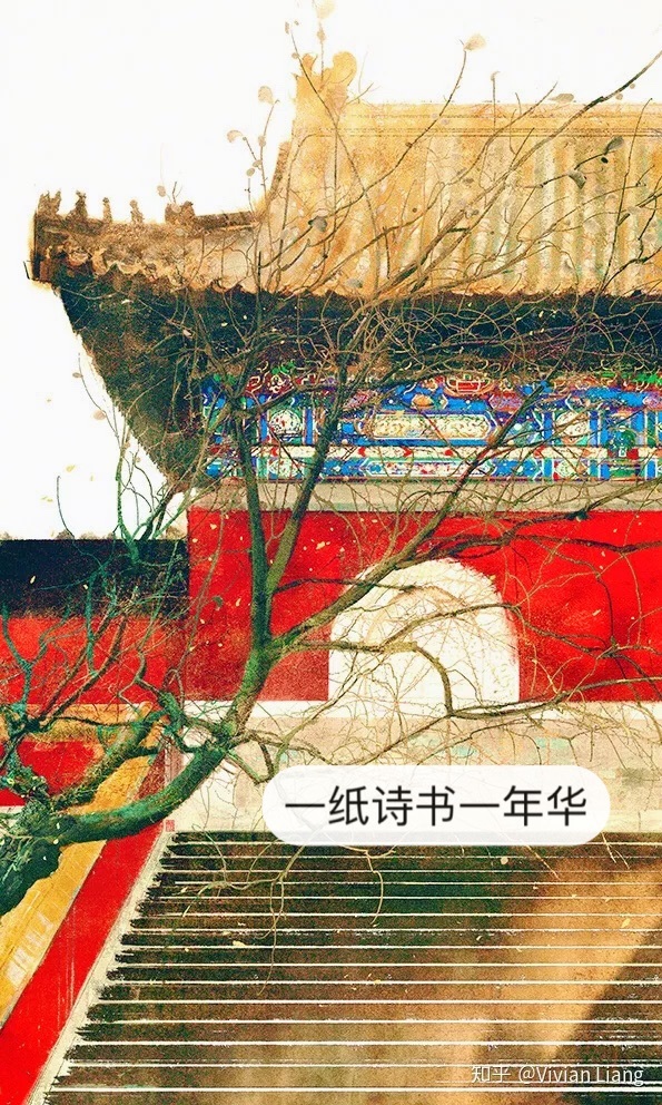 一纸诗书一年华