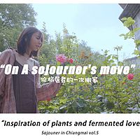 尽头漫步Sojourner