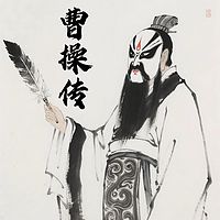 魏武雄风：曹操传