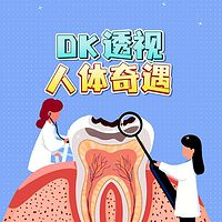 DK透视人体奇遇