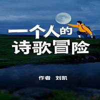 一个人的诗歌冒险