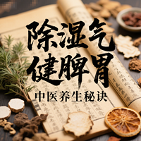 中医除湿气健脾胃