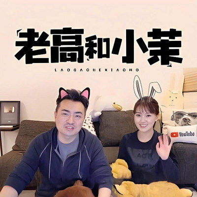 老高与小茉合集