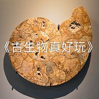 脚爬客《古生物真好玩》