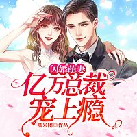 闪婚萌妻：亿万总裁宠上瘾