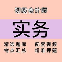 初级会计师｜实务｜精品课