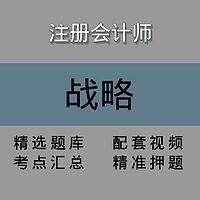 注会｜战略｜精品课