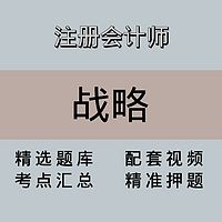 注会｜战略｜精品课