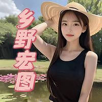 乡野宏图&乡村&多女主爽文