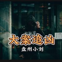 大案纪实之难逃法网