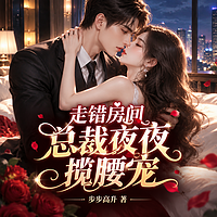 走错房间，总裁夜夜揽腰宠