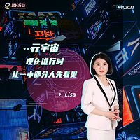 元宇宙之我见