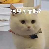 今天玩了什么？