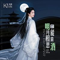 金海锋中国风歌曲专辑《明月相思能做酒》